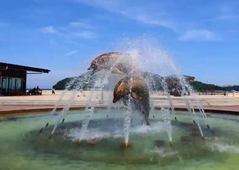 駅前にある噴水の写真です。水面から飛び跳ねているイルカの彫像が噴水をあびた状態で設置されています。