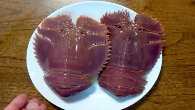 2匹のうちわ海老が白い皿の上に並べられている写真です。ウチワエビの体長は約15cmで赤紫色をしています。体表は甲羅で覆われ、縁には鋸の歯のような棘が並んでいます。上から見ると団扇のような形をしています。