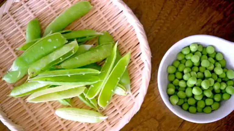 豆をはずした鞘と豆の写真です。鞘はザルの上に置かれています。緑色の豆は白い小鉢に入っています。