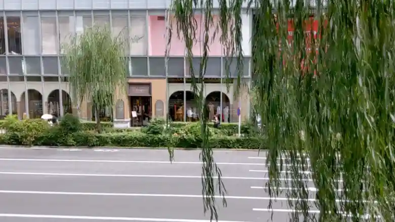 ちゃんぽん亭総本家銀座インズ店の窓から外を見た写真です。目の前に外堀通りと銀座の柳の木が見えます。