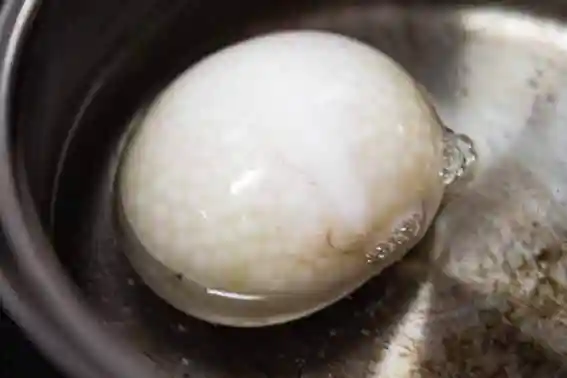 鍋に入れたタコの卵巣の写真です。膜を通して紡錘形のタコの卵が見えます。