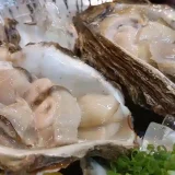 岩牡蠣の写真です。殻にもられた2個の牡蠣が器に盛られています。大きくてジューシーな身を、ネギともみじおろしで食べました。
