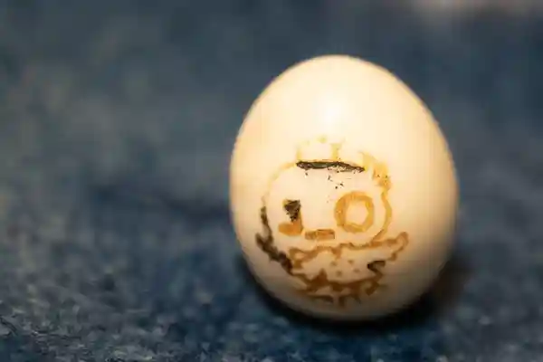 うずらのゆで卵の写真です。卵の表面にコック姿の鳥が描かれています。「BISTRO J_O / J_O CAFE」のキャラクターのジョーくんです。