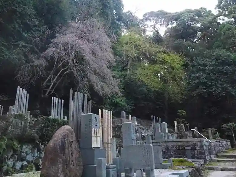 法然院の墓地の様子です。北山の麓にあります。桜の木が一本植わっています。この桜の下に谷崎潤一郎の墓所があります。