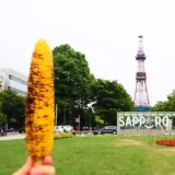 札幌大通公園で食べている焼きトウモロコシの写真です。トウモロコシの右奥にさっぽろテレビ塔が見えます。