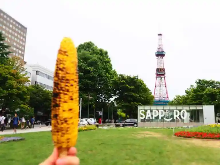 札幌大通公園で食べている焼きトウモロコシの写真です。トウモロコシの右奥にさっぽろテレビ塔が見えます。