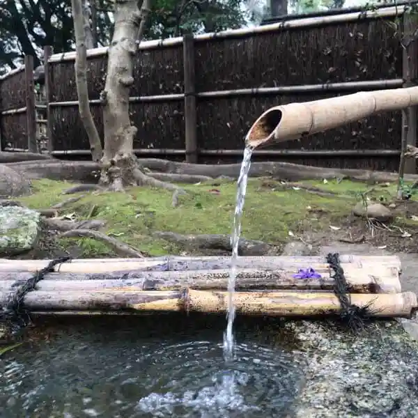 This photo shows Shishi-odoshi in the Rokusoan of the Tokyo National Museum's garden. Water is seen flowing down from a bamboo tube.