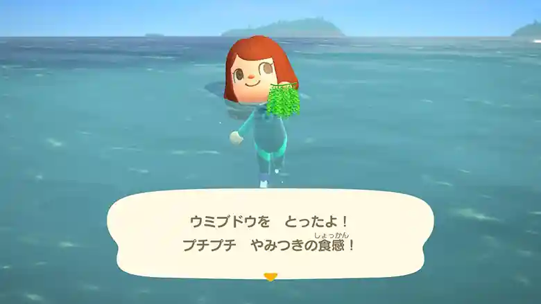 任天堂の「あつまれどうぶつの森」のゲーム画面の写真です。マリーンスーツを着た女の子が海に浮いています。ウミブドウを持った左手を前に突き出しています。画面の下方に「ウミブドウをとったよ！プチプチ やみつきの食感！」と文字が出ています。