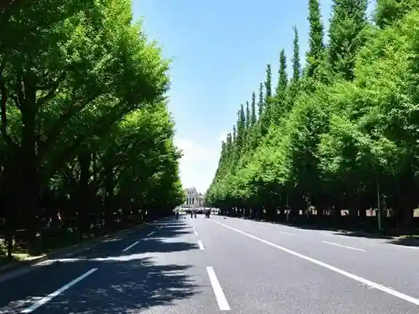 This photo shows the view of the ginkgo tree avenue in the Meiji Shrine Outer Garden as seen from Aoyama-dori. On this day, the road was closed to cars and was a pedestrian paradise. The Meiji Memorial Picture Gallery is visible in the center of the photo.