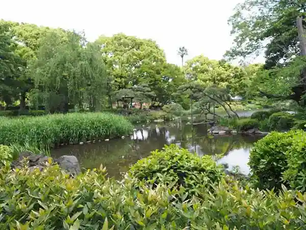 This photograph shows the Shinjiike pond in Hibiya Park. It is called a "heart-shaped pond" in Japanese because of its heart-like shape.