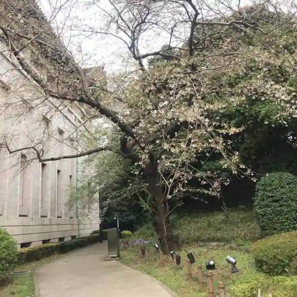 本館の東側にある庭園へ向かう道の写真です。道ばたに植わっている梅の木には花が咲いています。