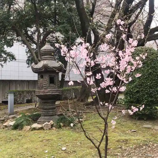九條館前にある灯籠の写真です。陶製の燈籠で、人の背丈ほどの大きさです。手前には山桜が咲いています。