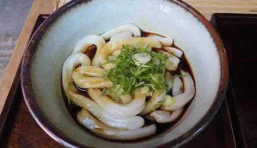 This picture shows a bowl of Ise udon noodles. The noodles are thick and covered in tamari soy sauce instead of soup. The only topping is some sliced green onions for flavor.