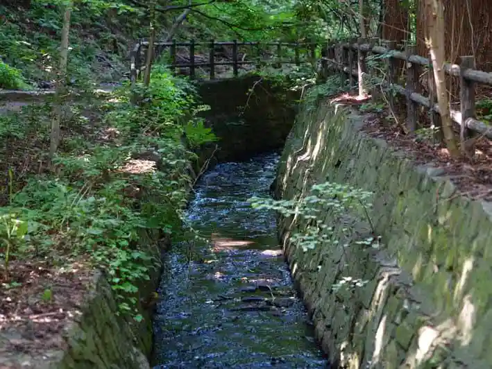 円山公園の遊歩道の脇を流れる川の写真です。遊歩道には木道が整備されています。