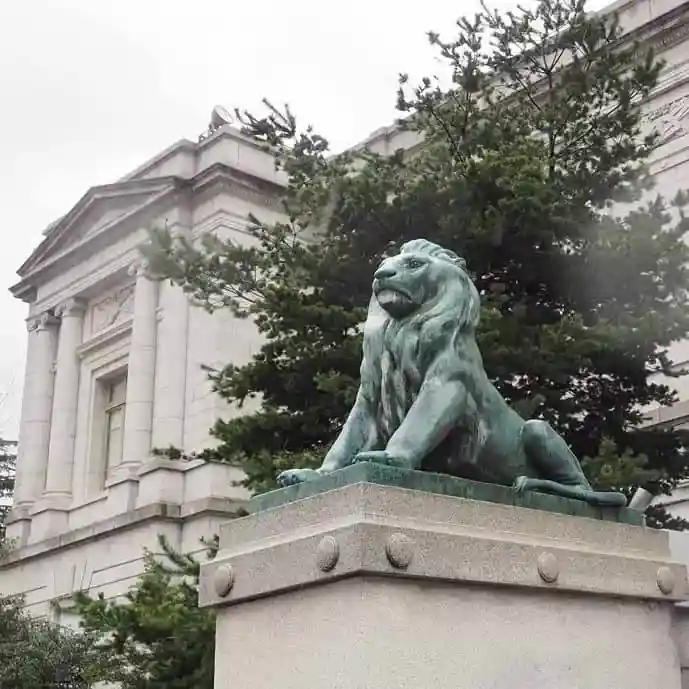 表慶館の入口に鎮座しているライオン像の写真です。ライオン像は2体あり、青銅製です。向かって左側のライオンは口を開き、もう一方は口を閉じた阿吽の像になっています。