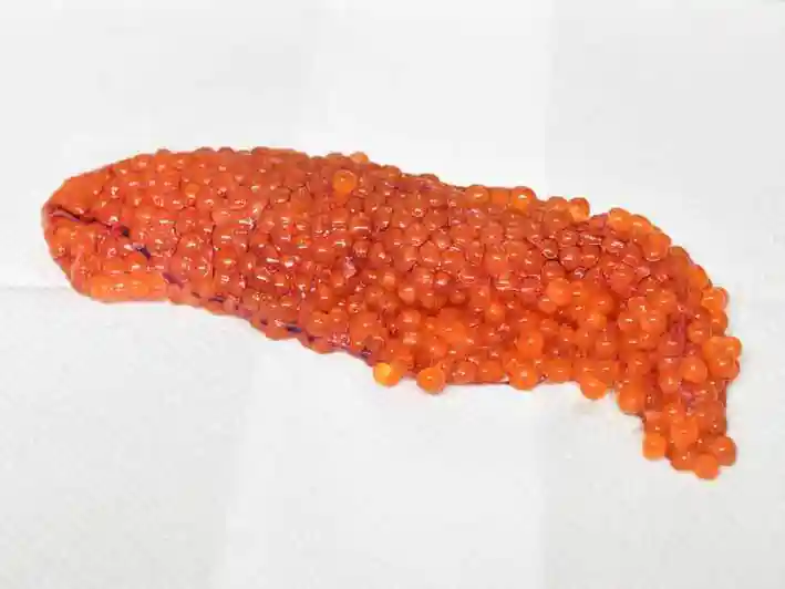 生筋子の写真です。たくさんのオレンジ色の卵が膜に包まれています。