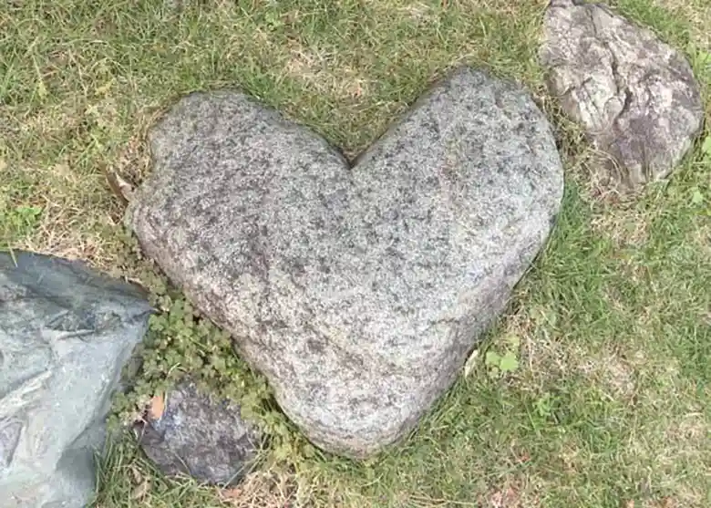 鳥羽のミキモト真珠島にある「ラブラブの石」と呼ばれる石の写真です。縦横ともに約53センチでハート型をしています。