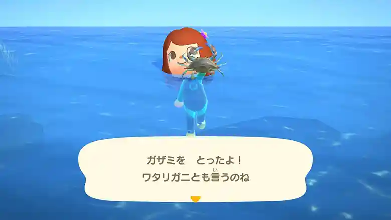 任天堂の「あつまれどうぶつの森」のゲーム画面の写真です。マリーンスーツを着た女の子が海に浮いています。ガザミを持った左手を前に突き出しています。画面の下方に「ガザミをとったよ！ワタリガニとも言うのね」と文字が出ています。